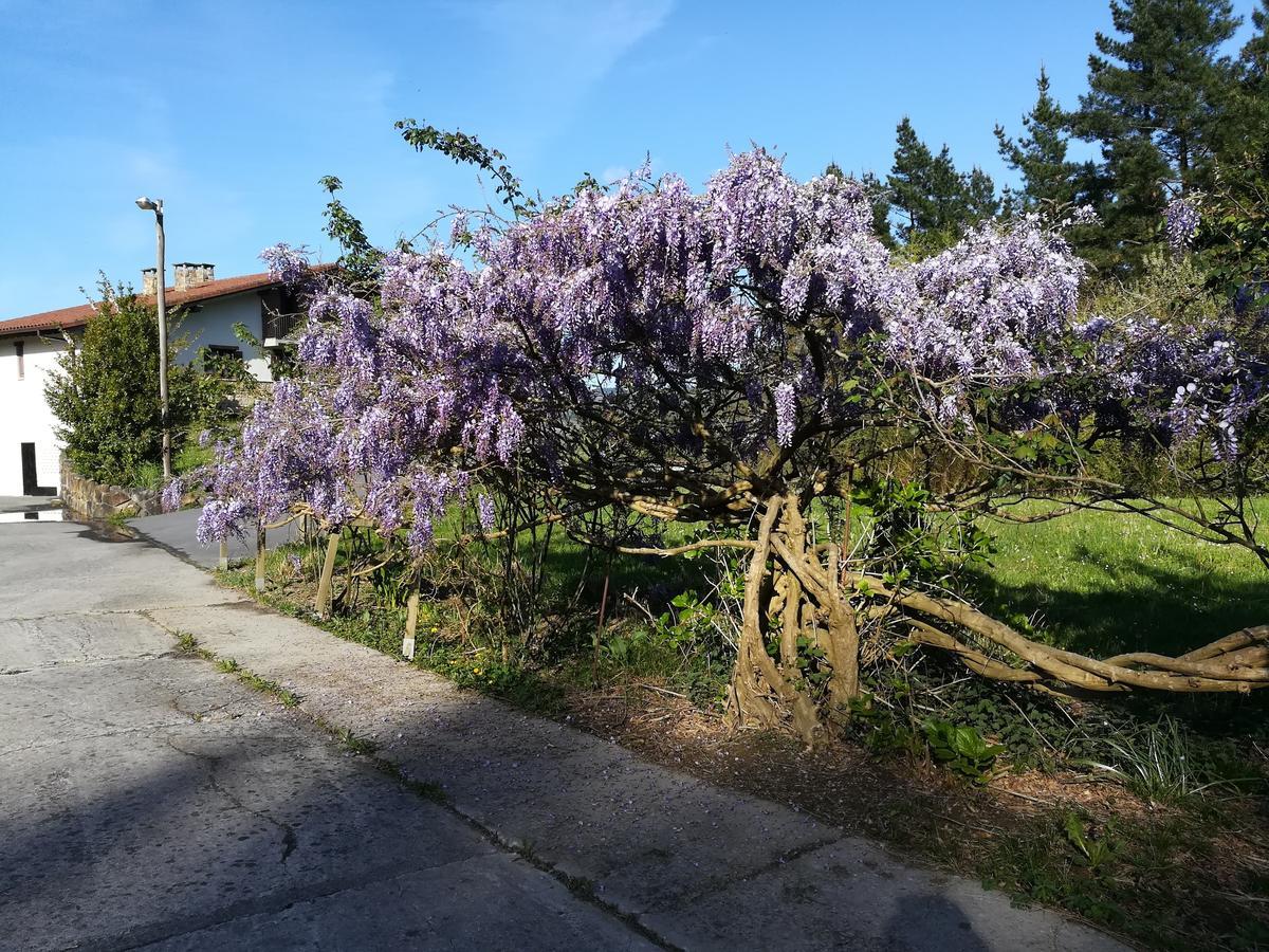 Casa Rural Miamendi Larrabetzu Luaran gambar